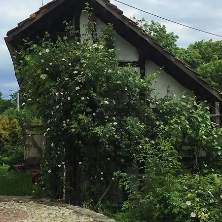 Stara Szkola Debowy Gaj The Old School Debowy Gaj Alojamento de Acomodação e Pequeno-almoço